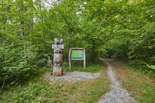 Walderlebnispfad Alz Au, Klosterau, Altötting, Oberbayern