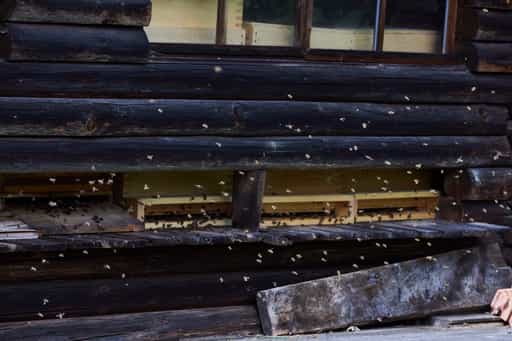 Engfurt Bienenhaus Klausenkirche Töging, Inn-Salzach