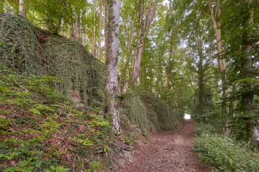Geologeische Orgeln, Klaffl bei Kastl, Altötting, Oberbayern