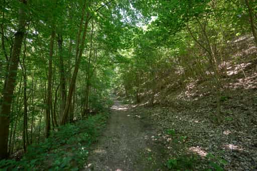 Wanderwege zur Kronwidl Kapelle, Ecksberg, Mühldorf am Inn