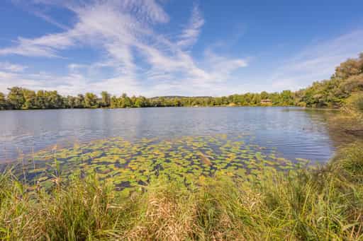 Waldsee Lago Sommer, Badesee Simbach, Kirchdorf am Inn