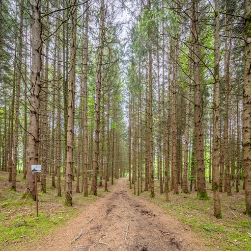 Todeiskesselweg, Haag, Mühldorf am Inn, Oberbayern