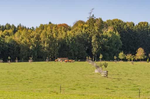 Landschaft bei Lengham, Lapperding, Rottal-Inn, Niederbayern