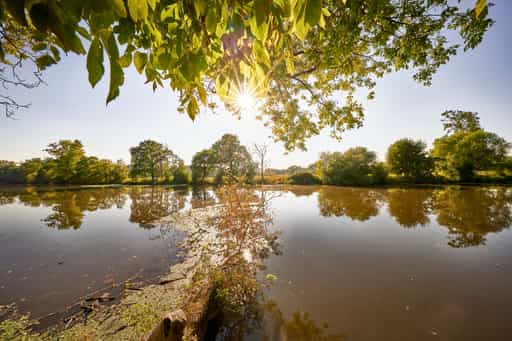 Karpfham Rott bei Schalkham, Bad Griesbach, Passau