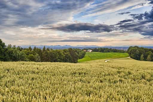 Friesing Aussicht, Gemeinde Reischach, Landkreis Altötting