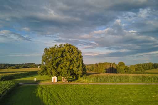 Kapellenlinde Schmidhub, Berg, Altötting, Oberbayern