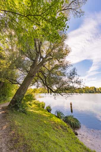 Waldsee Lago Sommer, Badesee Simbach, Kirchdorf am Inn