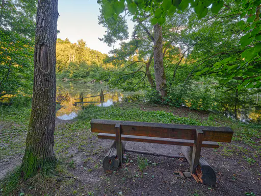 Lichtlberger Wald, Gern, Rottal-Inn, Niederbayern, Holzland