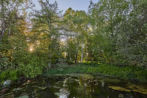 Wassergarten Mitterskirchen: Idyllischer Teich