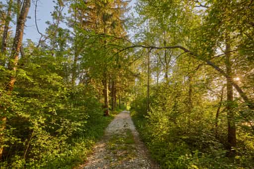 Klosterau Walderlebnispfad Alz Au, Mehring, Altötting