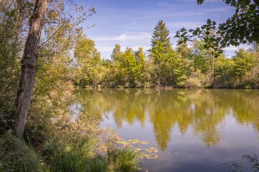 Lago Sommer, Badesee Simbach, Waldsee, Rottal-Inn