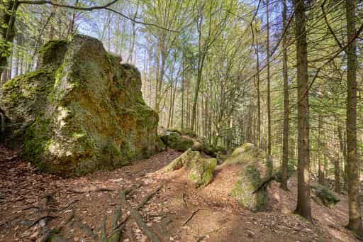 St. Salvator Luisenburg, Bad Griesbach, Passau
