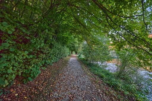 Wanderweg unter Bäumen, Wöhrsee, Altötting, Oberbayern