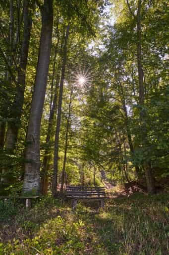 Bank am Steinbruch, St.-Rupert-Pilgerweg Berger a. Brunn