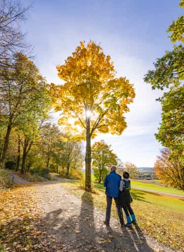 Kurpark im Herbst, Bad Griesbach, Passau, Niederbayern