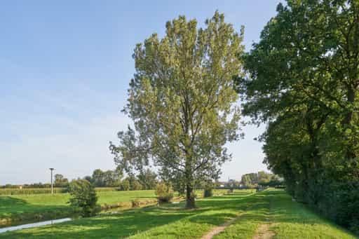 Steinhöring Isenlandschaft, Winhöring, Altötting, Oberbayern