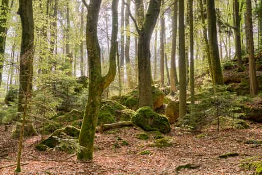 Luisenburg, Bad Griesbach, Passau, Niederbayern