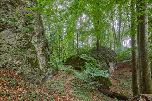 Tuffstein am Schlossberg, Wald, Altötting, Oberbayern