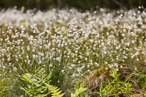Todeiskesselweg, Haag, Mühldorf am Inn, Oberbayern