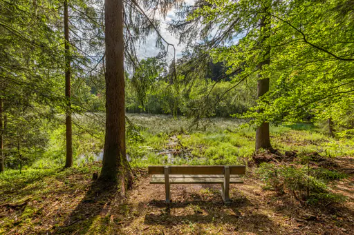 Todeiskesselweg, Haager Land, Mühldorf am Inn, Oberbayern