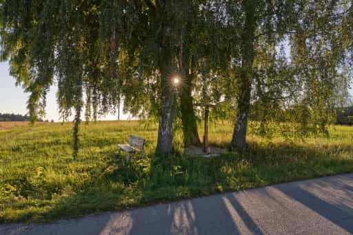 Bank mit Akazie, Blick auf Taubenbach, Natur, Landschaft