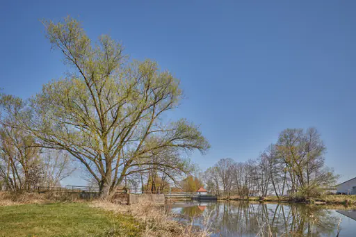Natur an der Rott, Unterdietfurt, Rottal-Inn, Niederbayern