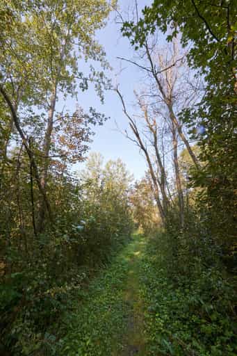 Isen Landschaft, Steinhöring, Altötting, Oberbayern