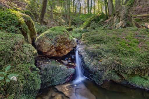 Bachlauf im Ameringer Graben, Stubenberg, Rottal-Inn