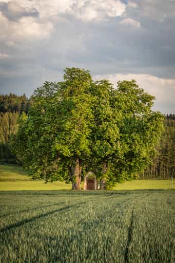 Bildstock Kastanien, Arbing, Ecking, Reischach, Altötting