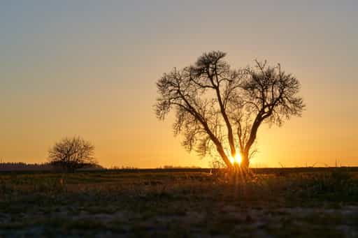 Sonnenuntergang Weiher, Polling, Mühldorf a. Inn, Oberbayern
