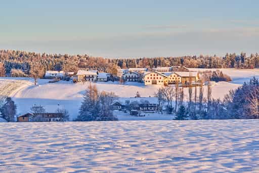 Winter, Wald bei Winhöring Näglstall, Altötting