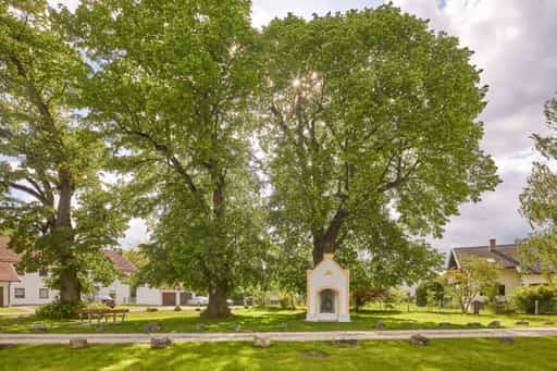Grünanlage mit Bildstock Kapelle, Wald an der Alz