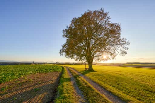 Linde Aussicht, Rainbichl, Altötting, Oberbayern