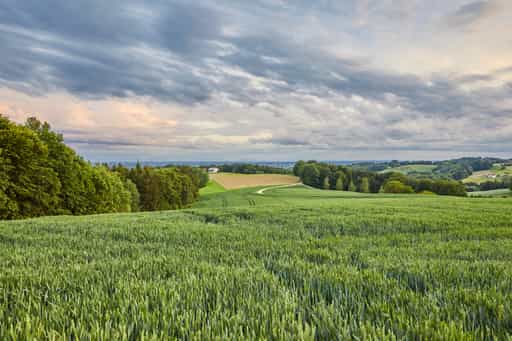 Friesing, Reischach, Altötting, Oberbayern