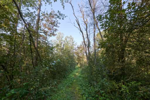 Entlang der Isen, Natur Pfad, Winhöring, Altötting