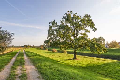 Isen Pilgerweg, Steinhöring, Altötting, Oberbayern